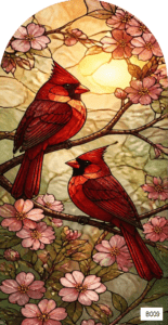 B009 red cardinals in cherry blossom