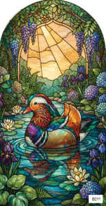 B011 mandarin duck in fantasy lake