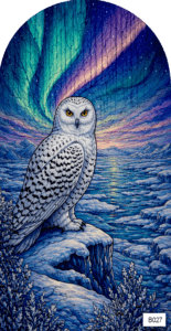 B027 snowy owl 1