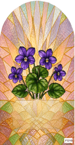 F016 BF Feb violets