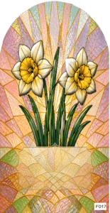 F017 BF March daffodil