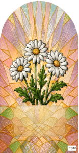 F018 BF April daisy