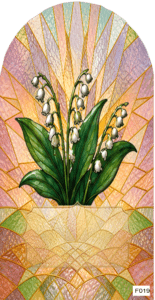 F019 BF May lily of valley