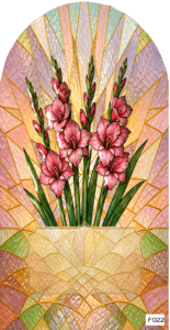 F022 BF August gladiola