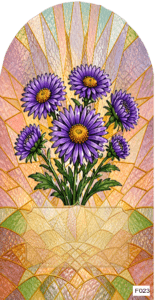 F023 BF Sept aster