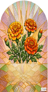 F024 BF October marigold