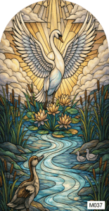 M037 ugly duckling 1