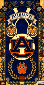 S009 P1 Auburn logo rect