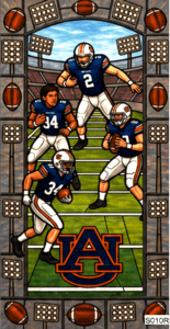 S010R P2 Auburn team rect