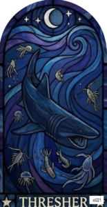 o021 shark thresher