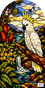 B030 cockatoo 1 arch