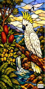 B030R cockatoo 1 rect