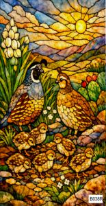 B038R quail family 1 rect