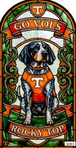S063 TN vols dog 3a arch